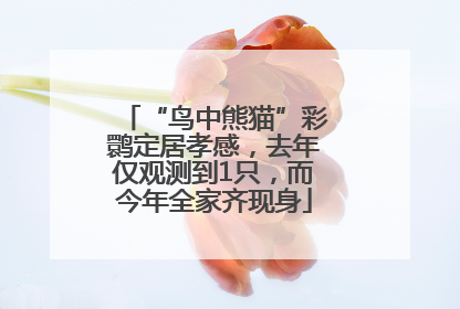 “鸟中熊猫”彩鹮定居孝感，去年仅观测到1只，而今年全家齐现身