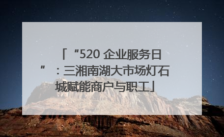 “520 企业服务日”：三湘南湖大市场灯石城赋能商户与职工