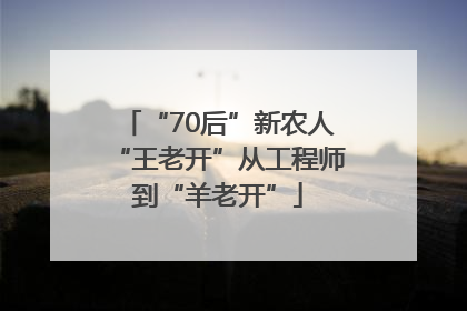 “70后”新农人“王老开”从工程师到“羊老开”