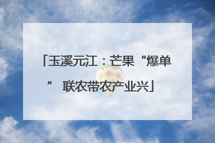 玉溪元江：芒果“爆单” 联农带农产业兴