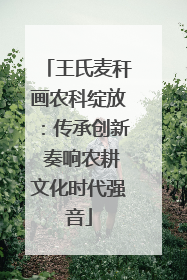 王氏麦秆画农科绽放：传承创新 奏响农耕文化时代强音