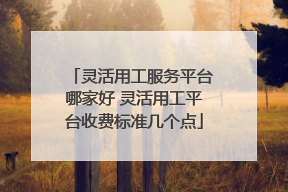 灵活用工服务平台哪家好 灵活用工平台收费标准几个点