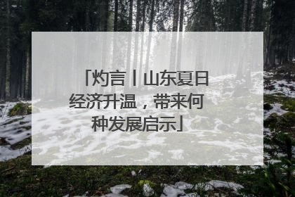 灼言丨山东夏日经济升温，带来何种发展启示