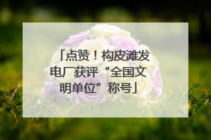 点赞！构皮滩发电厂获评“全国文明单位”称号