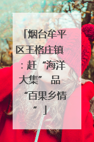 烟台牟平区王格庄镇：赶“海洋大集” 品“百果乡情”