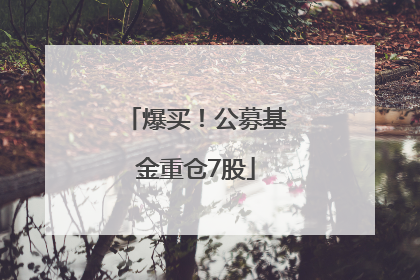 爆买！公募基金重仓7股