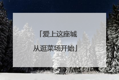 爱上这座城 从逛菜场开始