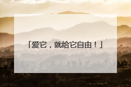 爱它，就给它自由！
