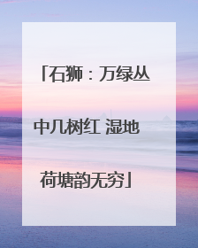 石狮：万绿丛中几树红 湿地荷塘韵无穷