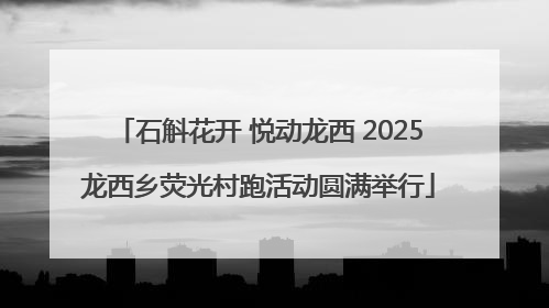 石斛花开 悦动龙西 2025龙西乡荧光村跑活动圆满举行