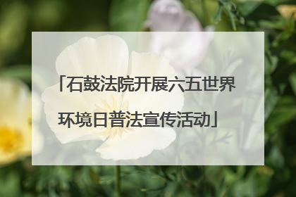 石鼓法院开展六五世界环境日普法宣传活动