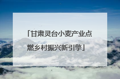 甘肃灵台小麦产业点燃乡村振兴新引擎