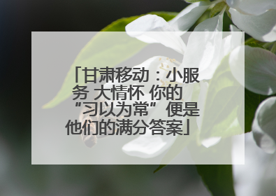 甘肃移动：小服务 大情怀 你的“习以为常”便是他们的满分答案