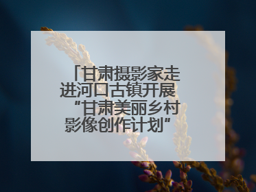甘肃摄影家走进河口古镇开展“甘肃美丽乡村影像创作计划”系列活动调研