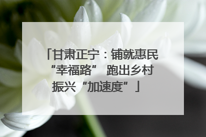 甘肃正宁：铺就惠民“幸福路” 跑出乡村振兴“加速度”