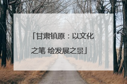 甘肃镇原：以文化之笔 绘发展之景