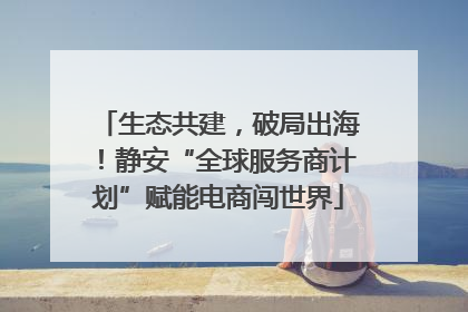 生态共建，破局出海！静安“全球服务商计划”赋能电商闯世界