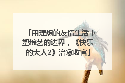 用理想的友情生活重塑综艺的边界，《快乐的大人2》治愈收官