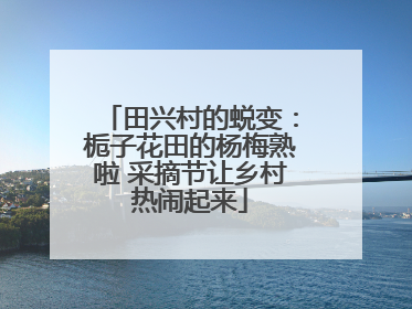 田兴村的蜕变：栀子花田的杨梅熟啦 采摘节让乡村热闹起来