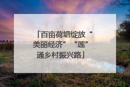 百亩荷塘绽放“美丽经济”“莲”通乡村振兴路