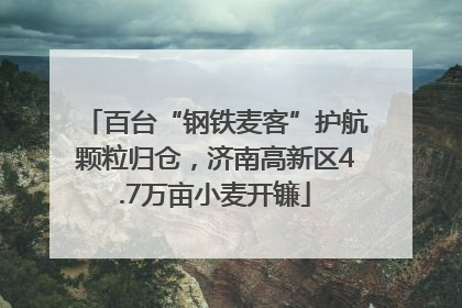 百台“钢铁麦客”护航颗粒归仓，济南高新区4.7万亩小麦开镰