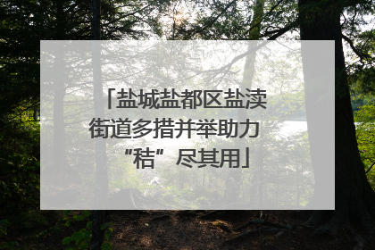 盐城盐都区盐渎街道多措并举助力“秸”尽其用
