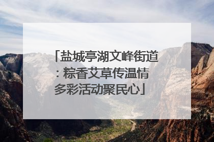 盐城亭湖文峰街道：粽香艾草传温情 多彩活动聚民心