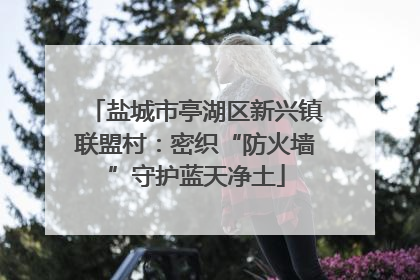 盐城市亭湖区新兴镇联盟村：密织“防火墙”守护蓝天净土