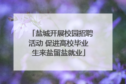 盐城开展校园招聘活动 促进高校毕业生来盐留盐就业