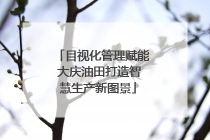 目视化管理赋能 大庆油田打造智慧生产新图景