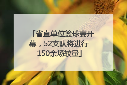 省直单位篮球赛开幕，52支队将进行150余场较量