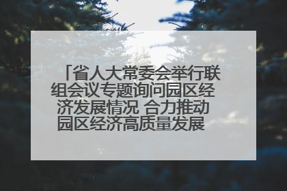 省人大常委会举行联组会议专题询问园区经济发展情况 合力推动园区经济高质量发展 王宁主持会议并讲话 王予波带队到会应询
