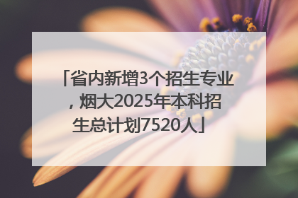 省内新增3个招生专业，烟大2025年本科招生总计划7520人