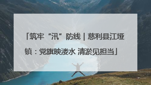 筑牢“汛”防线｜慈利县江垭镇：党旗映溇水 清淤见担当