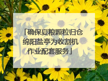 确保夏粮颗粒归仓 绵阳盐亭为收割机作业配套服务