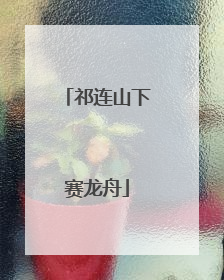 祁连山下赛龙舟