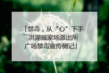 禁毒，从“心”下手――洪湖戴家场派出所广场禁毒宣传侧记