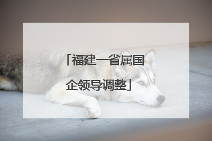 福建一省属国企领导调整
