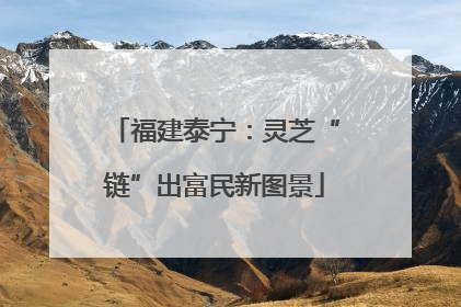 福建泰宁：灵芝“链”出富民新图景