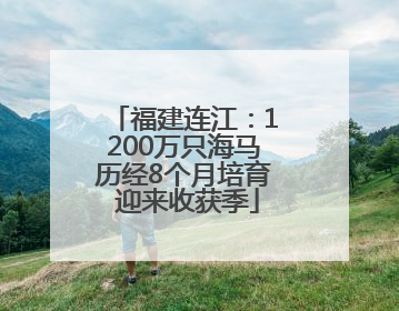 福建连江：1200万只海马历经8个月培育 迎来收获季