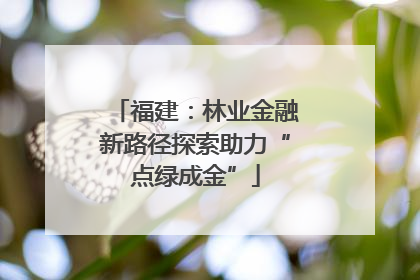 福建：林业金融新路径探索助力“点绿成金”