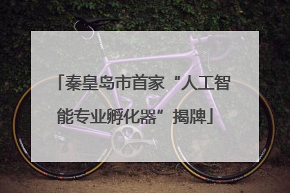 秦皇岛市首家“人工智能专业孵化器”揭牌