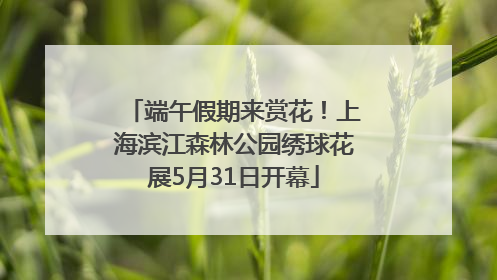 端午假期来赏花！上海滨江森林公园绣球花展5月31日开幕