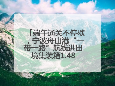 端午通关不停歇，宁波舟山港“一带一路”航线进出境集装箱1.48万标箱
