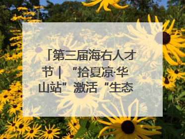 第三届海右人才节｜“拾夏凉·华山站”激活“生态聚才”强磁场