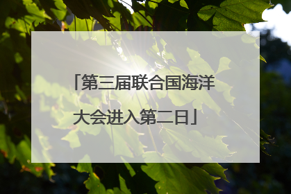 第三届联合国海洋大会进入第二日