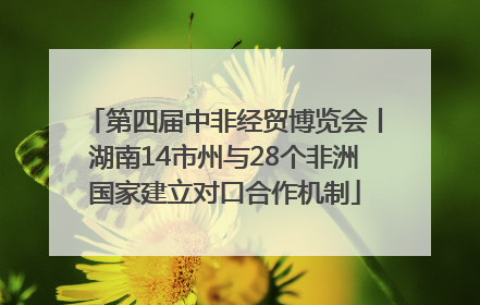 第四届中非经贸博览会丨湖南14市州与28个非洲国家建立对口合作机制