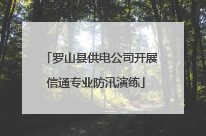 罗山县供电公司开展信通专业防汛演练