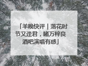 羊晚快评｜落花时节又逢君，睹万梓良酒吧演唱有感