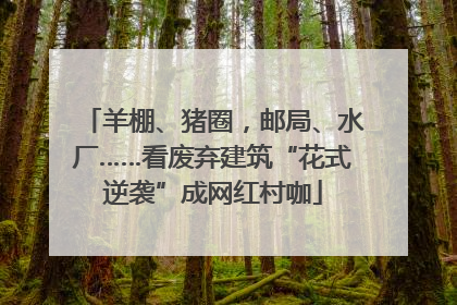 羊棚、猪圈，邮局、水厂……看废弃建筑“花式逆袭”成网红村咖